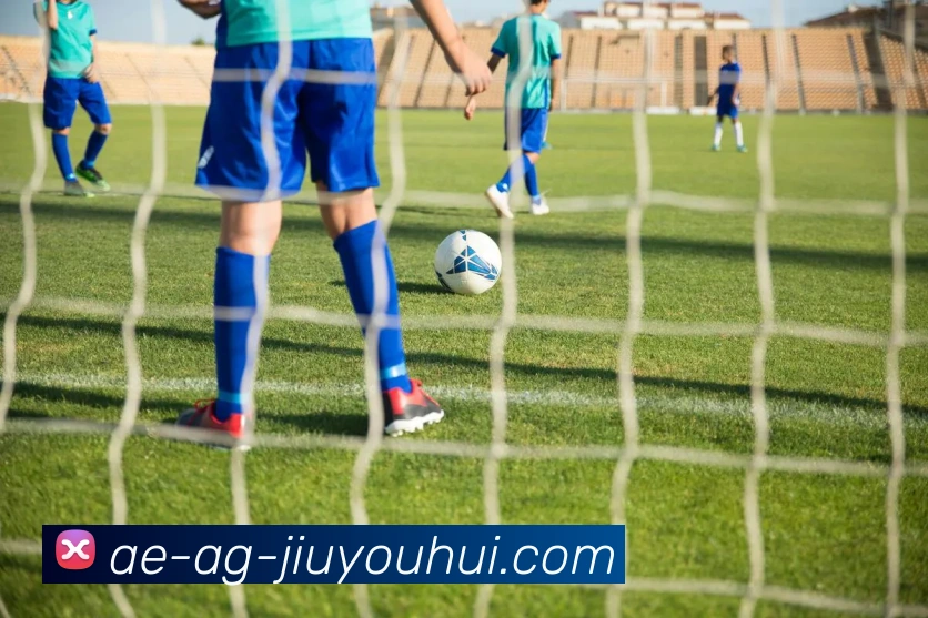 AG九游会官网平台生态图