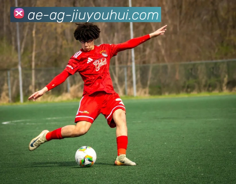 AG九游会官网APP 封面图